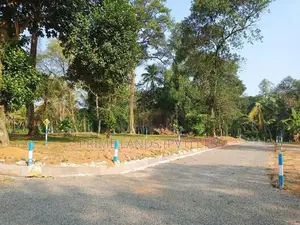 Land for Sale in Veyangoda