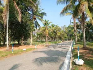 Lands for Sale in Veyangoda