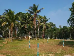 Land for Sale in Veyangoda