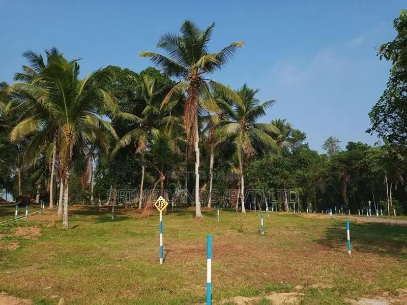 Land for Sale in Veyangoda