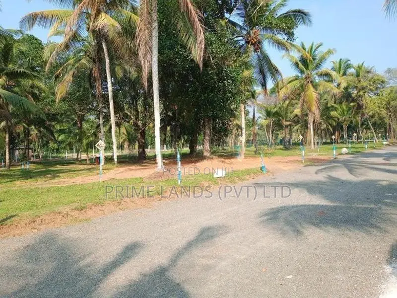 Lands for Sale in Veyangoda