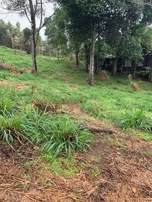 Land for Sale in Gurudeniya