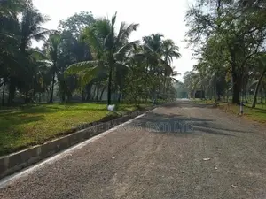 Lands for Sale in Veyangoda