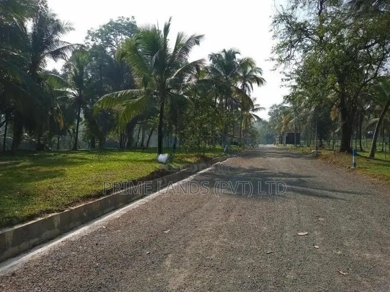 Lands for Sale in Veyangoda