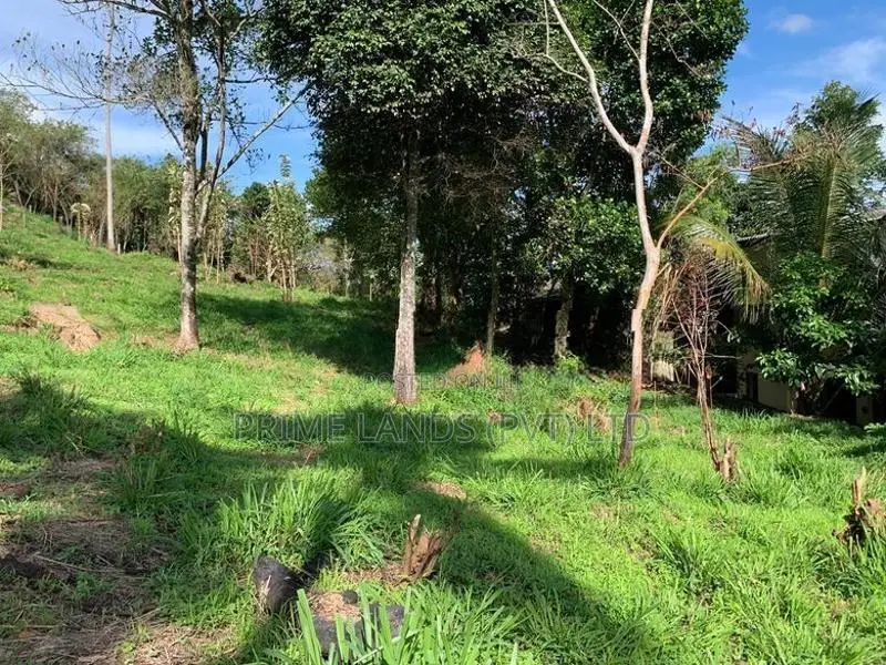 Land for Sale in Gurudeniya