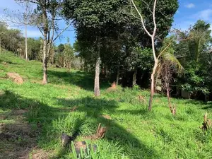 Land for Sale in Gurudeniya