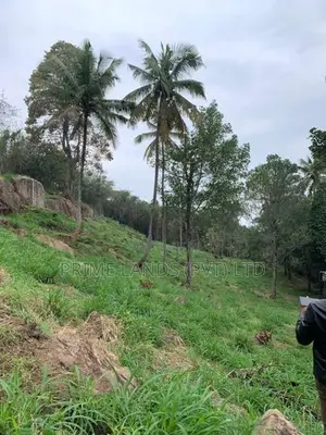 Land for Sale in Gurudeniya