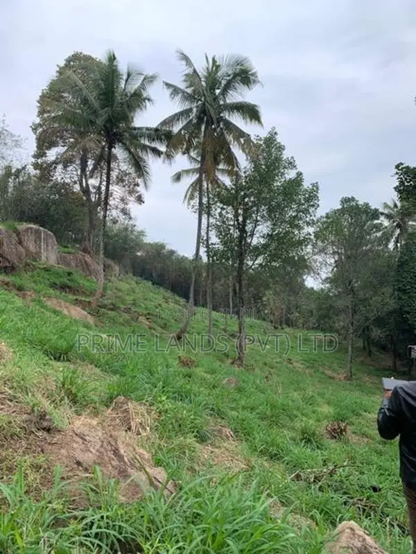 Land for Sale in Gurudeniya