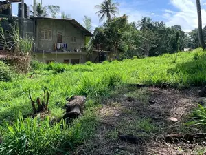 Land for Sale in Gurudeniya