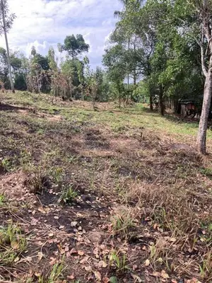 Land for Sale in Gurudeniya