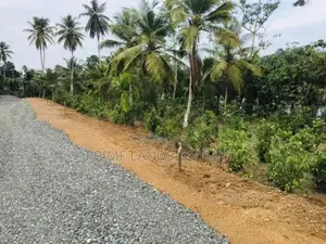 හික්කඩුව සංචාරක කලාපයෙන් ඉඩමක්