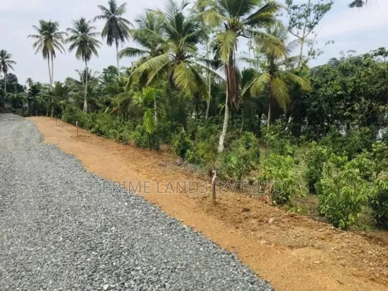 හික්කඩුව සංචාරක කලාපයෙන් ඉඩමක්