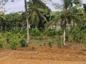 හික්කඩුව සංචාරක කලාපයෙන් ඉඩමක්