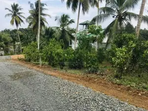 හික්කඩුව සංචාරක කලාපයෙන් ඉඩමක්