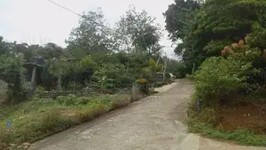 Land for Sale Karadupana