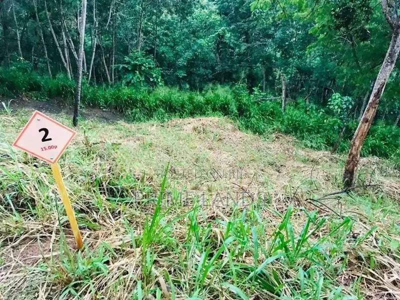 Land for Sale Karadupana