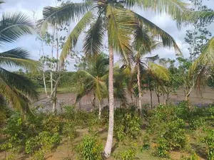 හික්කඩුව ගෝනපීනුවල පාරෙන් බිම් කොටස්