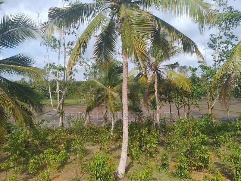 හික්කඩුව ගෝනපීනුවල පාරෙන් බිම් කොටස්