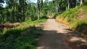 Land for Sale Nelundeniya