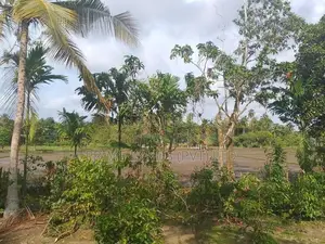 හික්කඩුව ගෝනපීනුවල පාරෙන් බිම් කොටස්