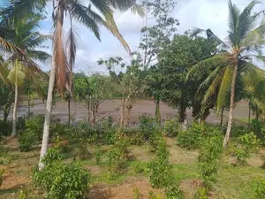 හික්කඩුව ගෝනපීනුවල පාරෙන් බිම් කොටස්