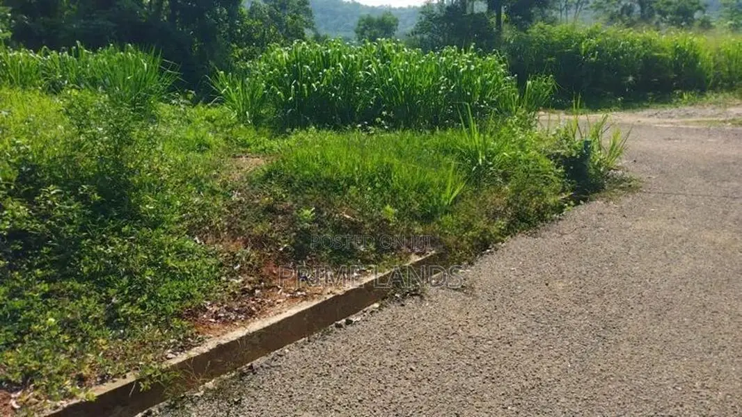 Land for Sale Nelundeniya