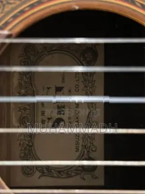 Guitar