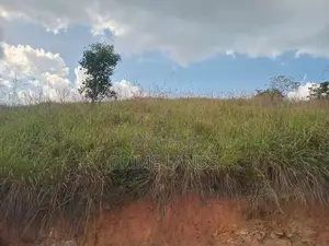 Land for Sale Galaha
