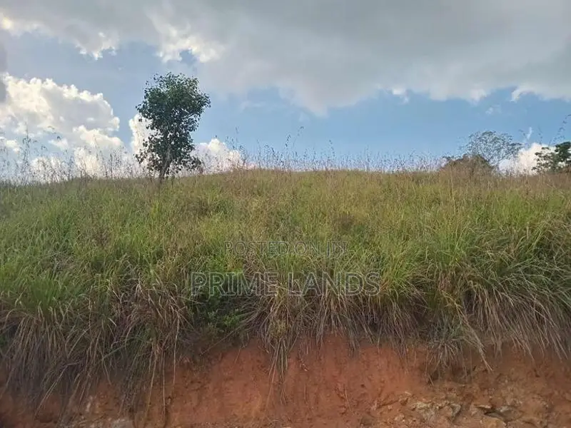 Land for Sale Galaha
