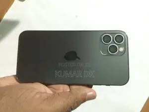 Apple iPhone 12 Pro 256GB (Used)