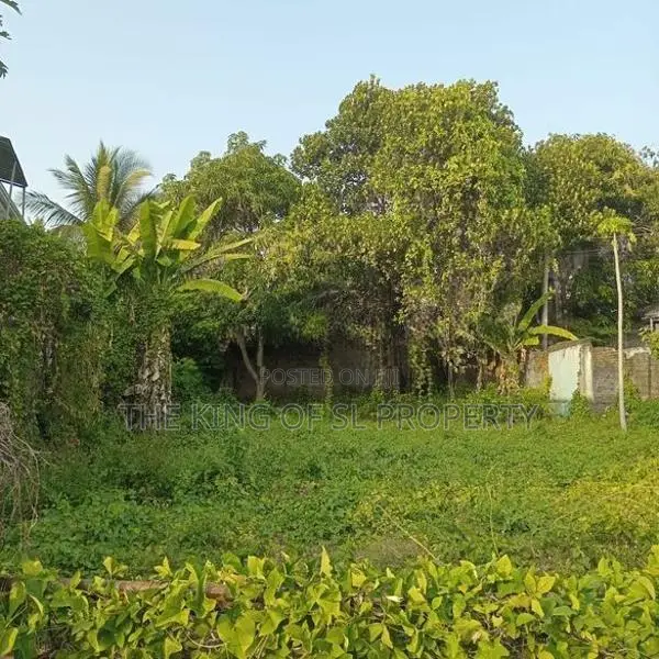 Land for sale in Dehiwala