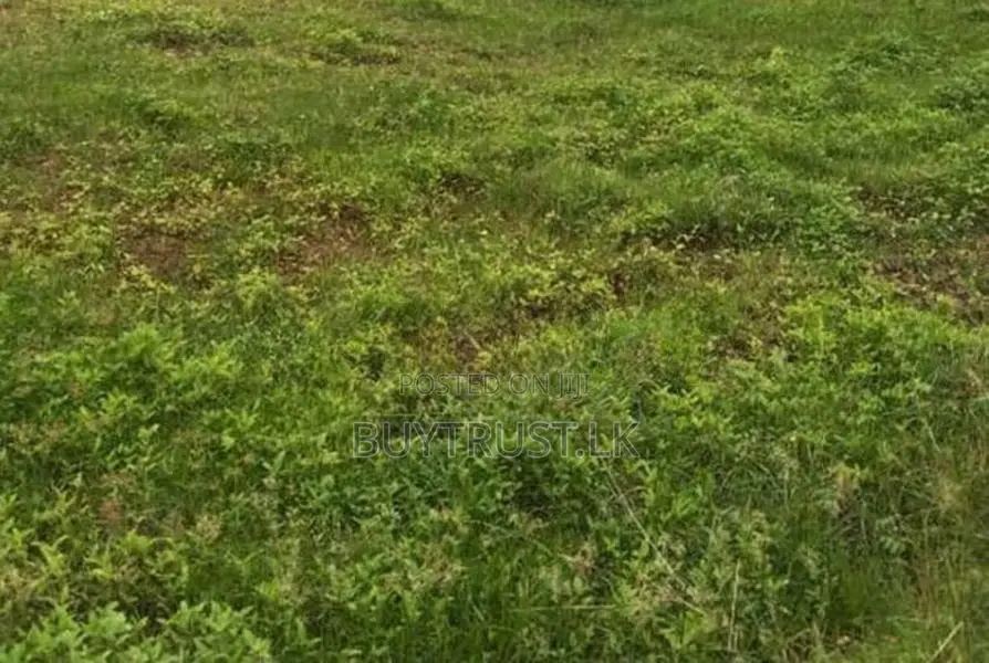 Land for Sale in Dehiwala