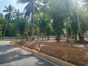 210 බස් පාරට මුහුණළා ඉඳිගහමුලින් ඉඩමක්