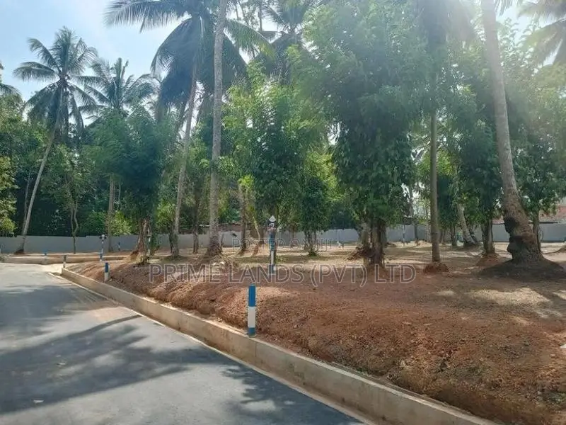 210 බස් පාරට මුහුණළා ඉඳිගහමුලින් ඉඩමක්