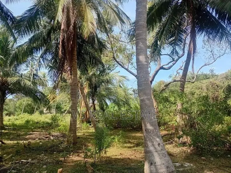 விற்பனைக்கு காணி சாவகச்சேரி – மீசாலை பகுதியில்