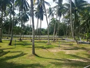 යක්කල නගර සභා සීමාවෙන් බිම් කොටස්