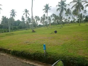 251බස් පාරට සමීපව වැළිහිදෙන් බිම් කොටස්