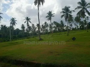 251බස් පාරට සමීපව වැළිහිදෙන් බිම් කොටස්