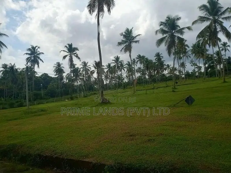 251බස් පාරට සමීපව වැළිහිදෙන් බිම් කොටස්