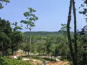 හබරාදුව සංචාරක කලාපයෙන් ඉඩමක්