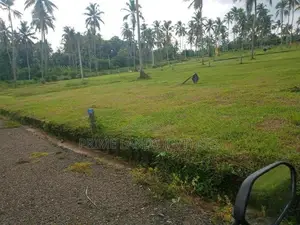 251බස් පාරට සමීපව වැළිහිදෙන් බිම් කොටස්