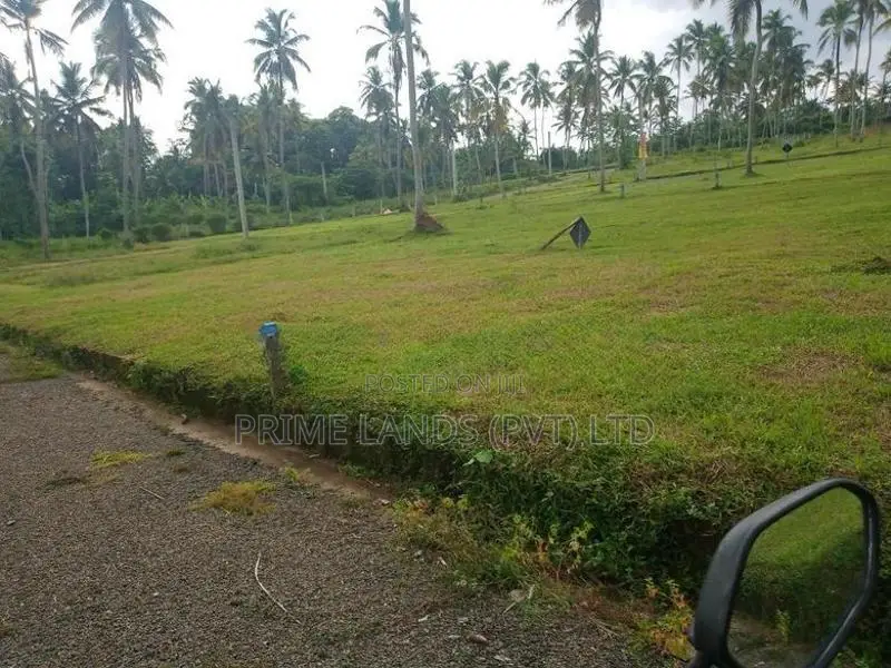 251බස් පාරට සමීපව වැළිහිදෙන් බිම් කොටස්