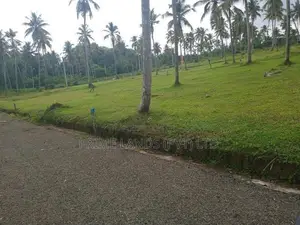 251බස් පාරට සමීපව වැළිහිදෙන් බිම් කොටස්