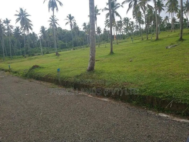 251බස් පාරට සමීපව වැළිහිදෙන් බිම් කොටස්