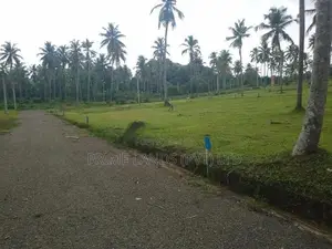 251බස් පාරට සමීපව වැළිහිදෙන් බිම් කොටස්