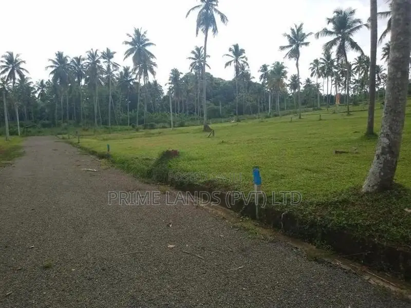 251බස් පාරට සමීපව වැළිහිදෙන් බිම් කොටස්