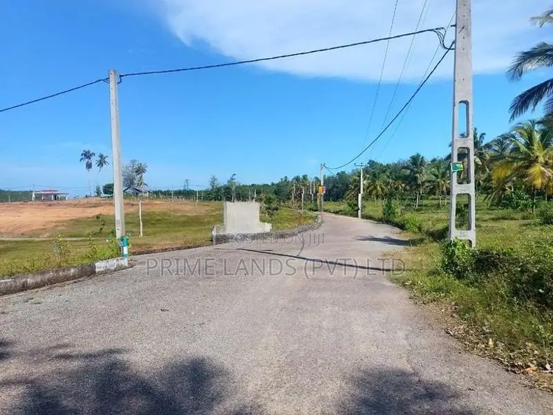 වැලිපැන්නෙන් අගනා බිම්කොටස්