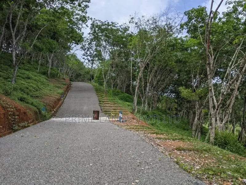 හබරාදුව දික්කුඹුර පාරෙන් ඉඩමක්