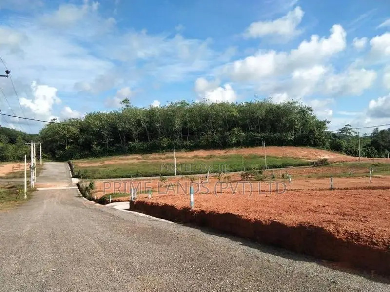 අළුත්ගමින් අගනා නිම්කොටස්