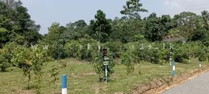 කළුතර පලාතොට පාරෙන් බිම්කොටස්